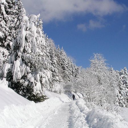 Ferienwohnung Am Eisweiher Титизее-Нойщат Екстериор снимка