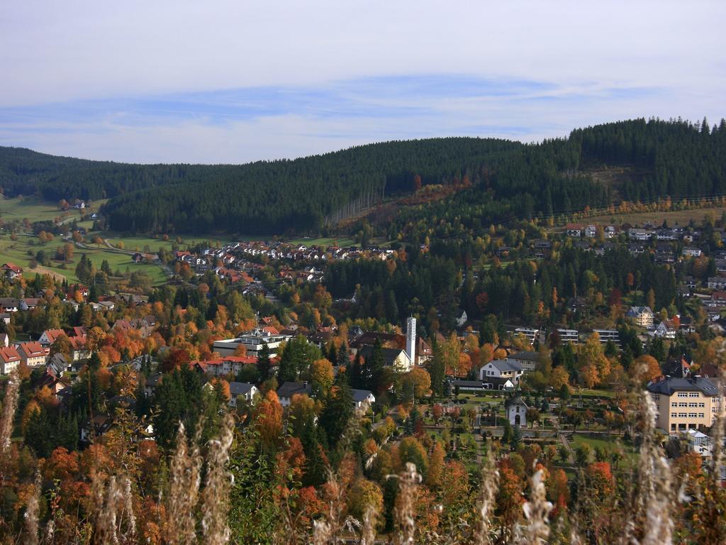 Ferienwohnung Am Eisweiher Титизее-Нойщат Екстериор снимка