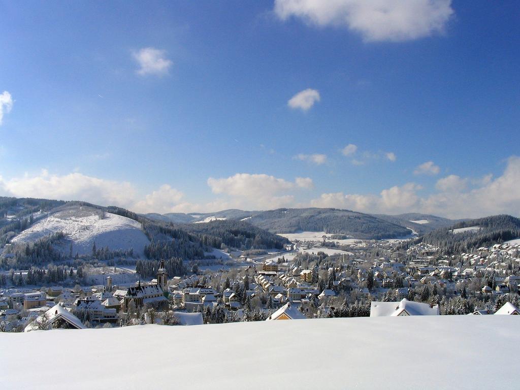 Ferienwohnung Am Eisweiher Титизее-Нойщат Екстериор снимка