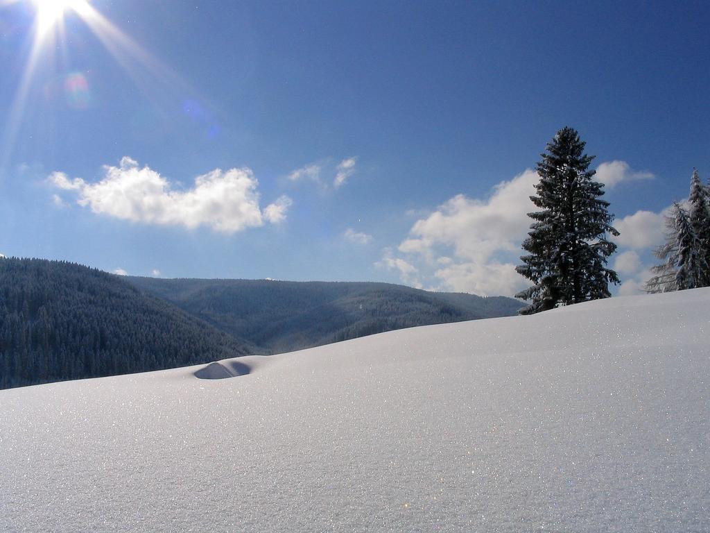 Ferienwohnung Am Eisweiher Титизее-Нойщат Екстериор снимка